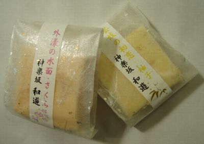 DSC040250001