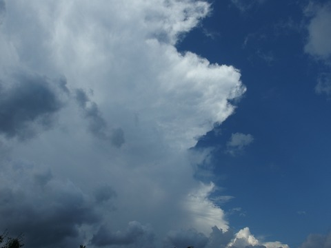 P72201580049