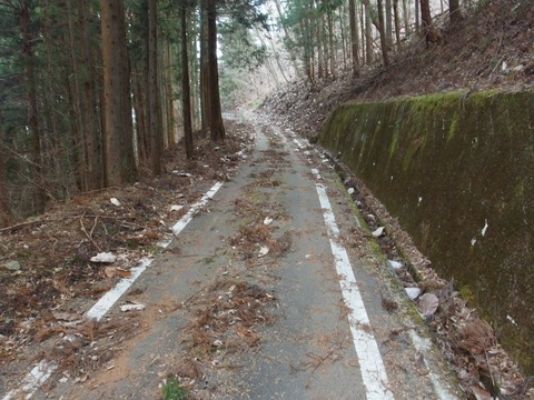 PC3000600026