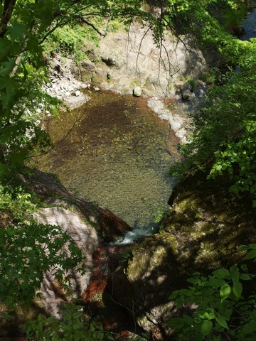 P43000450024