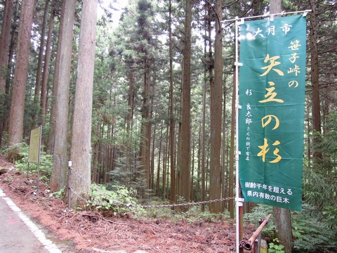 DSCN22370001
