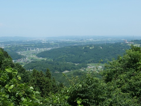 P70800890028