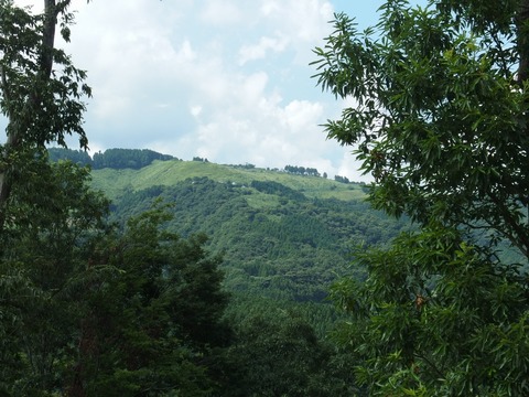 P72201380041