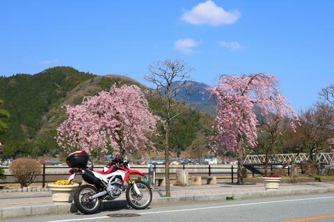 IMG_05040057