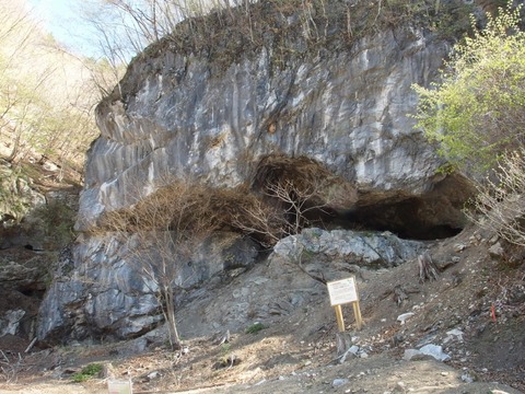 P50500090006