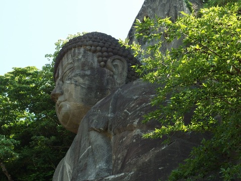 P61000150005