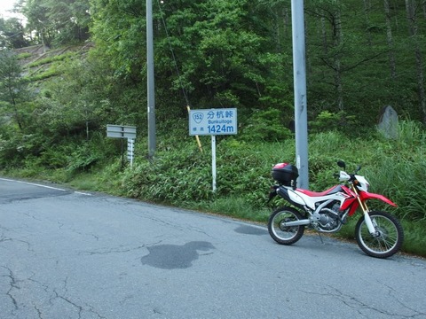P71000030004