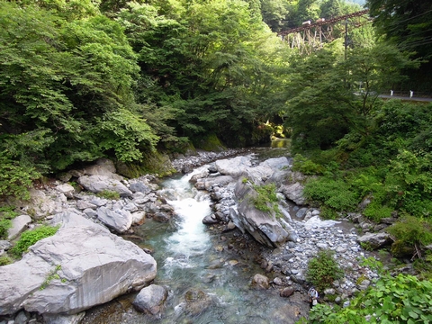 DSCN13270005