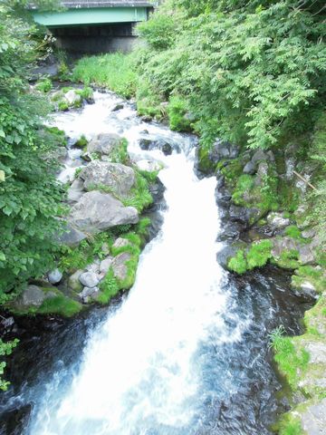 DSCN02010015