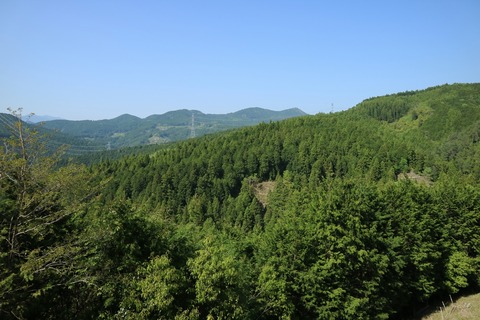 IMG_07650032