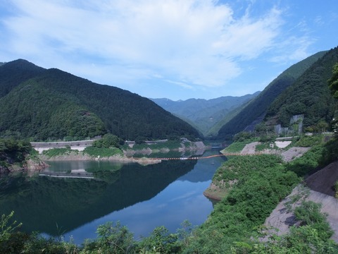 P80200010001