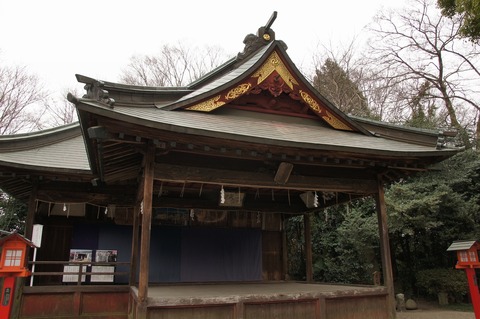DSC030200012