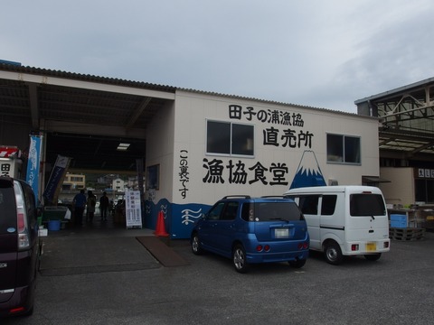 P42900040001