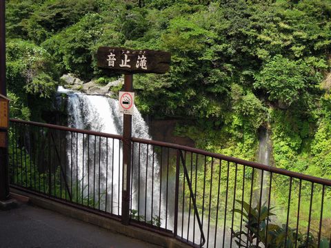DSCN02180022