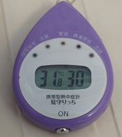 P43000350019