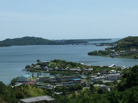 P60301440054