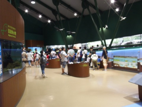 P90300550025