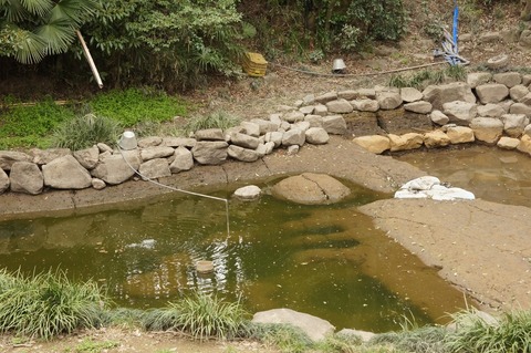 DSC030380017