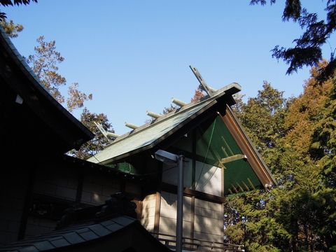 DSCN11610006