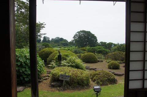 DSC034310013
