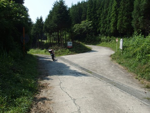 P70801020033