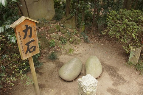 DSC030190011