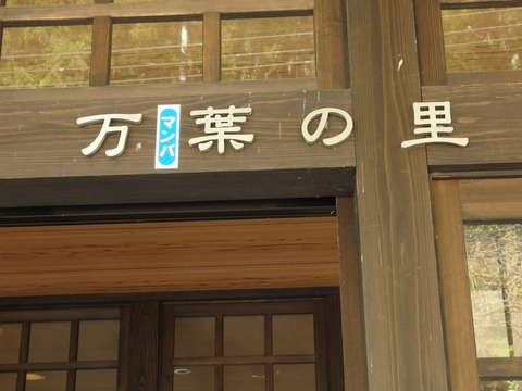 P43000190013