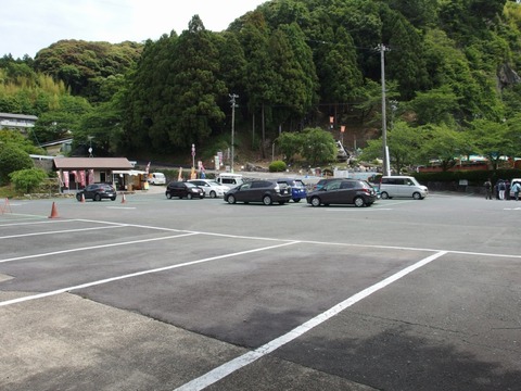 P60300200007