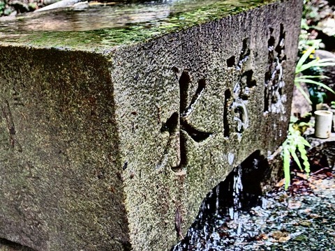 P60300680030