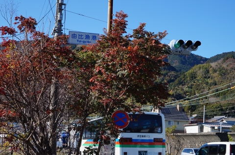 DSC012040003