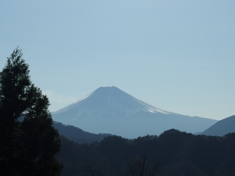 PC3000670029