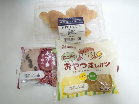 DSCN37480016