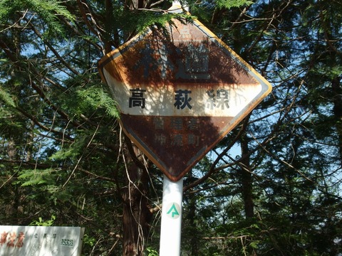 P43000130009