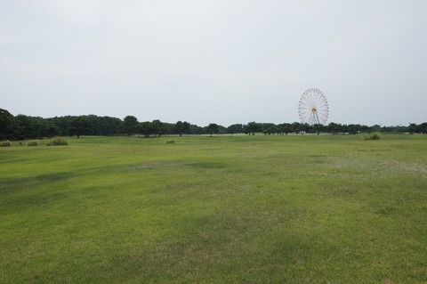 DSC034920032