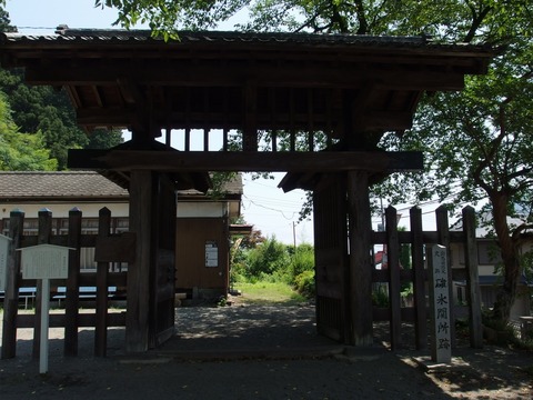 P70800590020