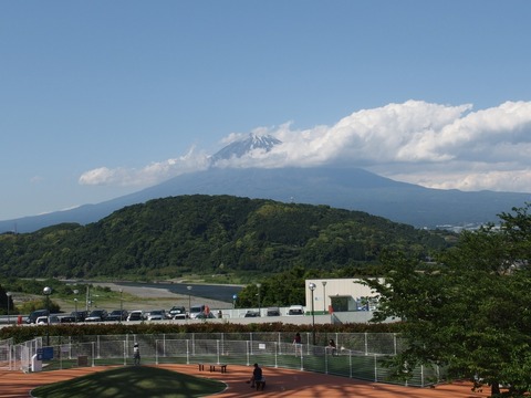 P60301490090d