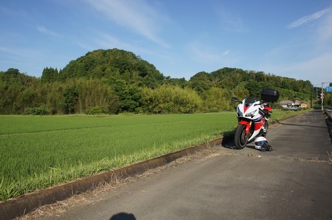 DSC030800001