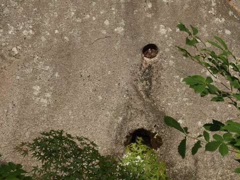 P62401130033