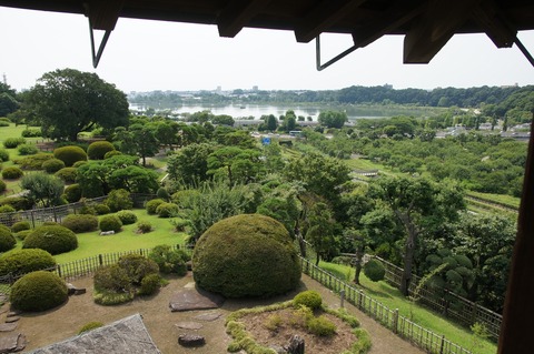 DSC034390017