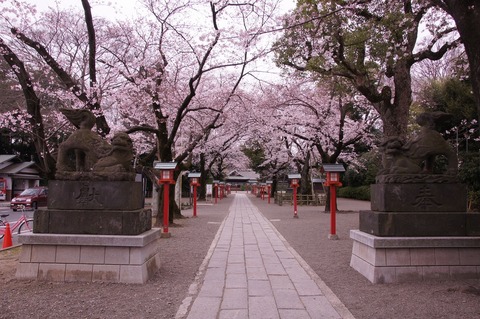 DSC030050005