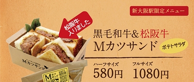 DSCN16790004