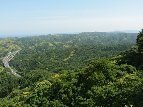 P61000770018