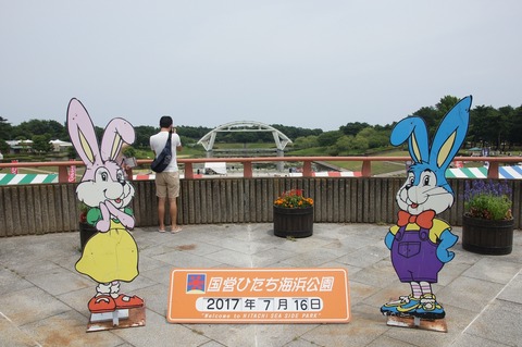DSC035110038