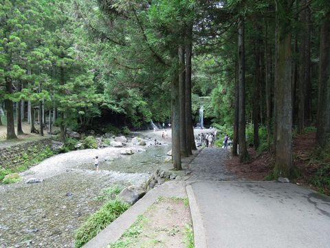 DSCN02940048