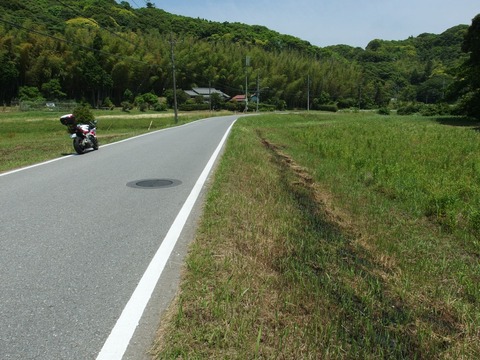 P61000890023