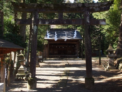P10300050003