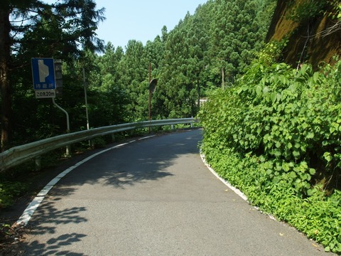 P70801170037