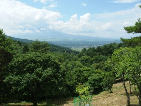 P722011000027