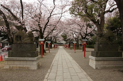 DSC030010004
