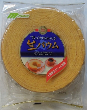 DSCN26970001